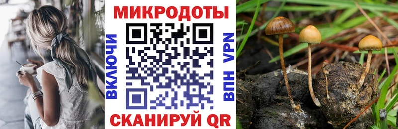 Галлюциногенные грибы MAGIC MUSHROOMS  где купить   мега ссылка  Заволжск 